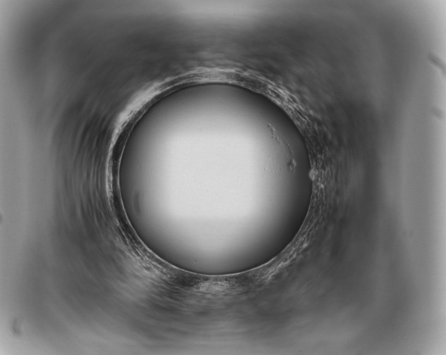 X0000096460294200802071840
