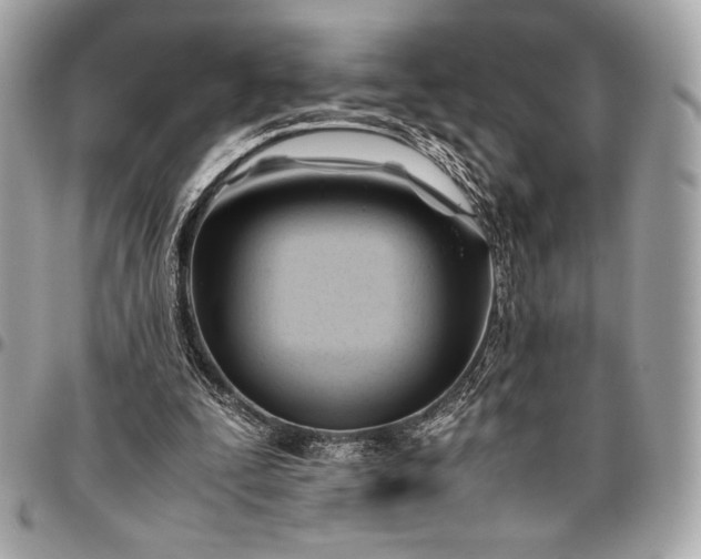 X0000096460295200802071840