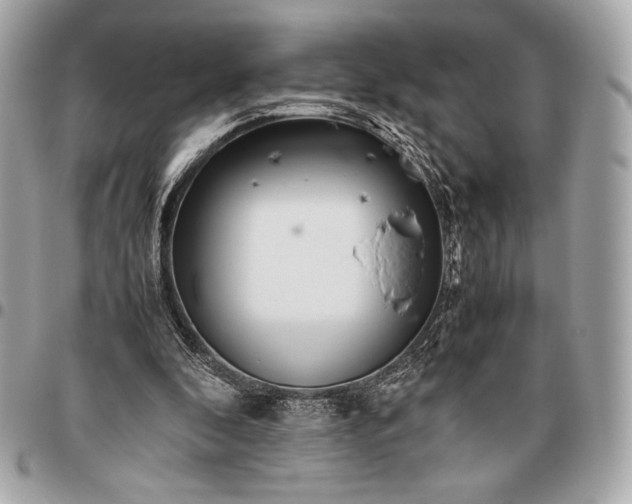 X0000096460296200802071840