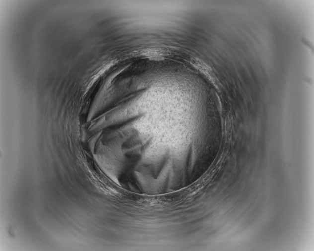 X0000096460297200802071840