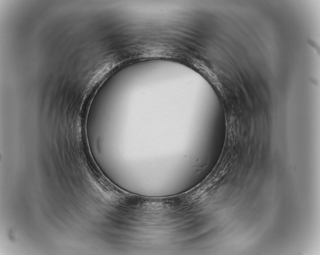 X0000096460298200802071840