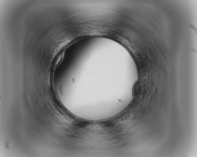 X0000096460299200802071840