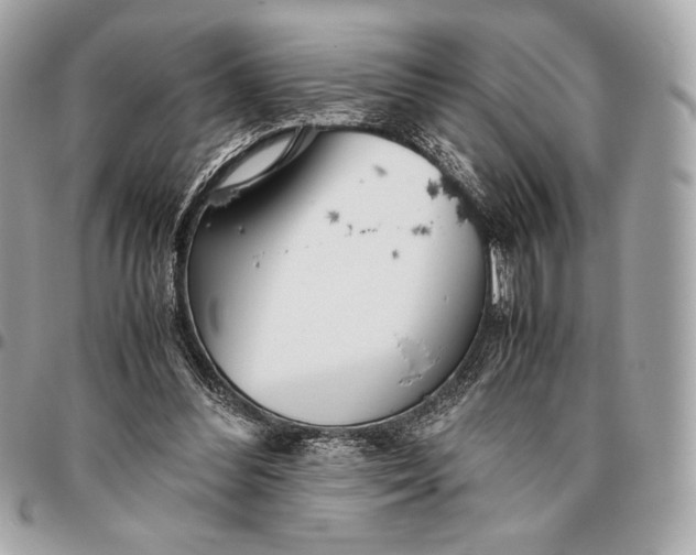X0000096460300200802071840