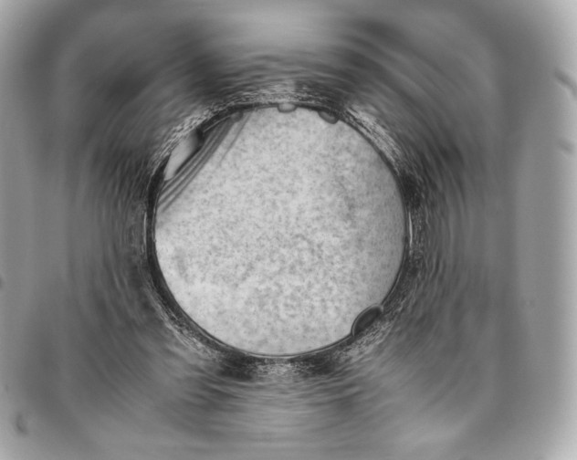 X0000096460301200802071840