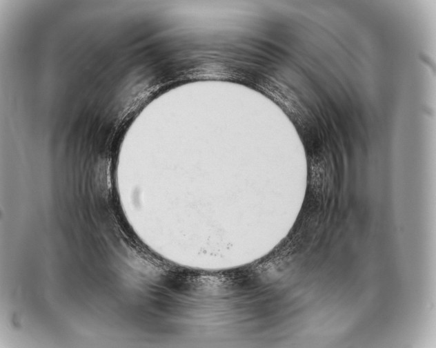 X0000096460302200802071840