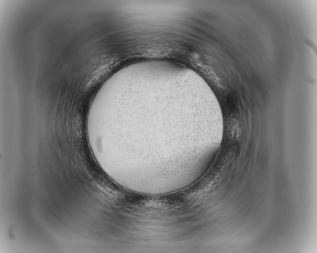 X0000096460303200802071840