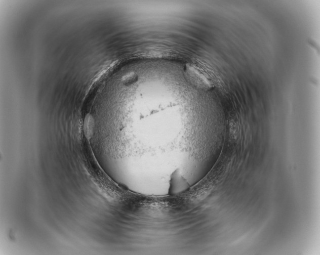 X0000096460304200802071840