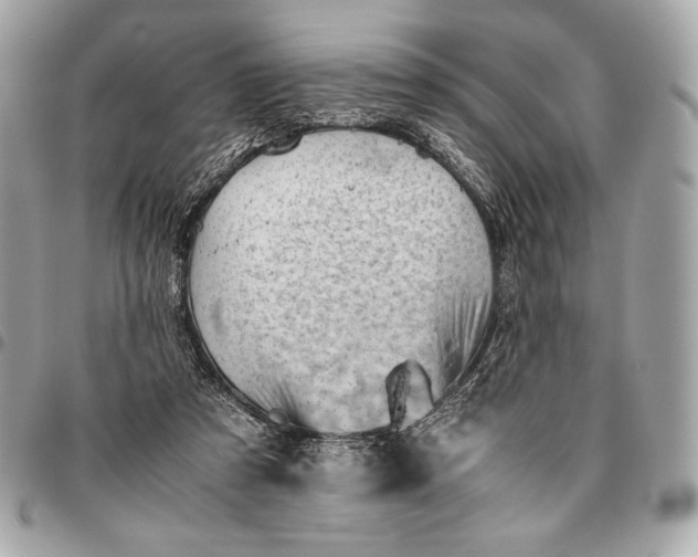 X0000096460305200802071840