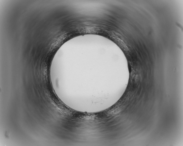 X0000096460306200802071840