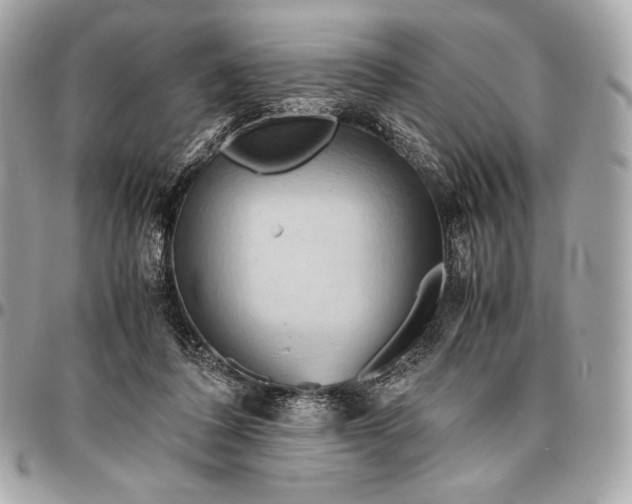 X0000096460308200802071840