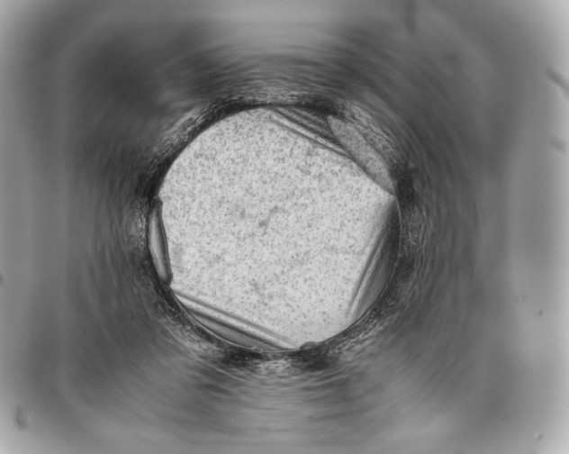 X0000096460309200802071840