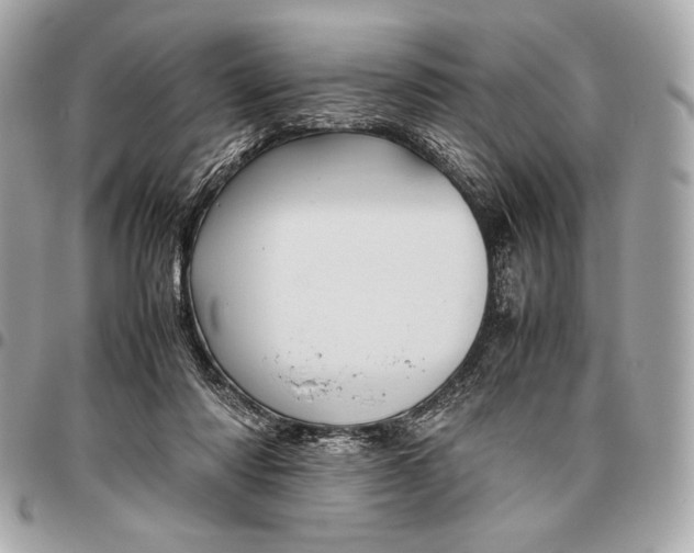 X0000096460310200802071840