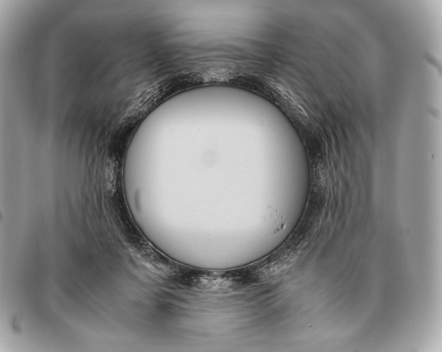 X0000096460311200802071840
