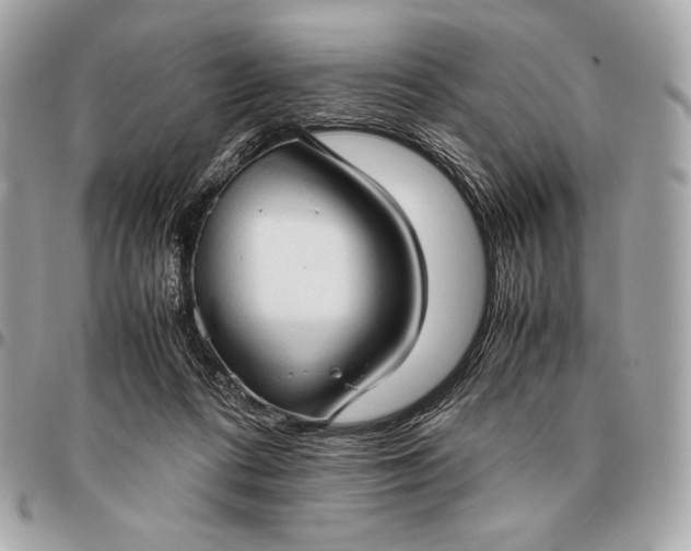 X0000096460312200802071839