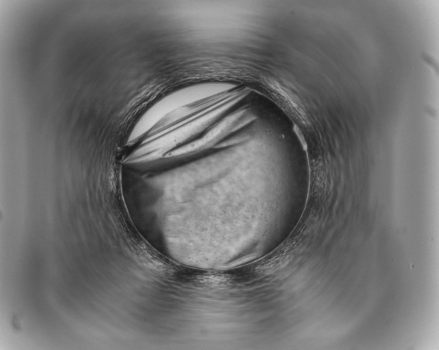 X0000096460313200802071839
