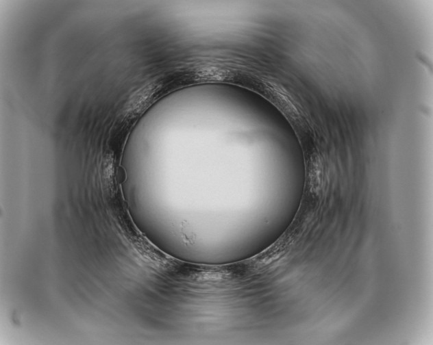 X0000096460314200802071839