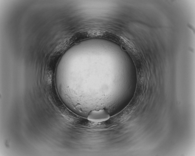 X0000096460315200802071839
