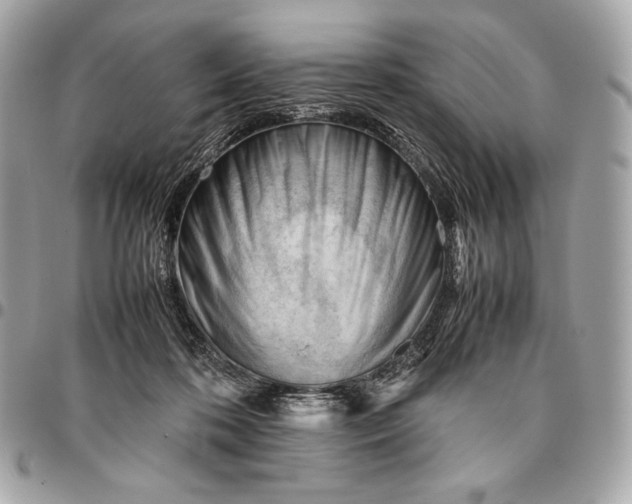 X0000096460316200802071839