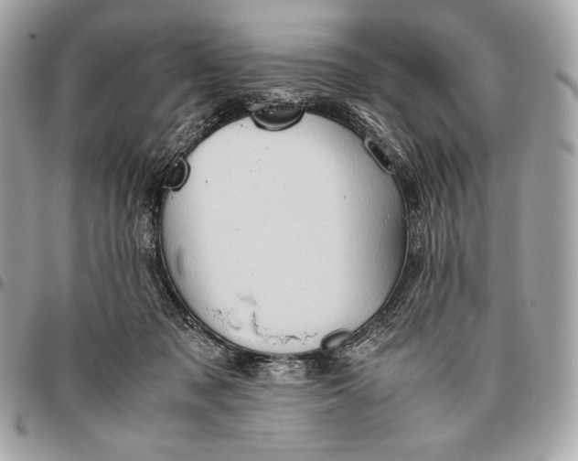 X0000096460317200802071839