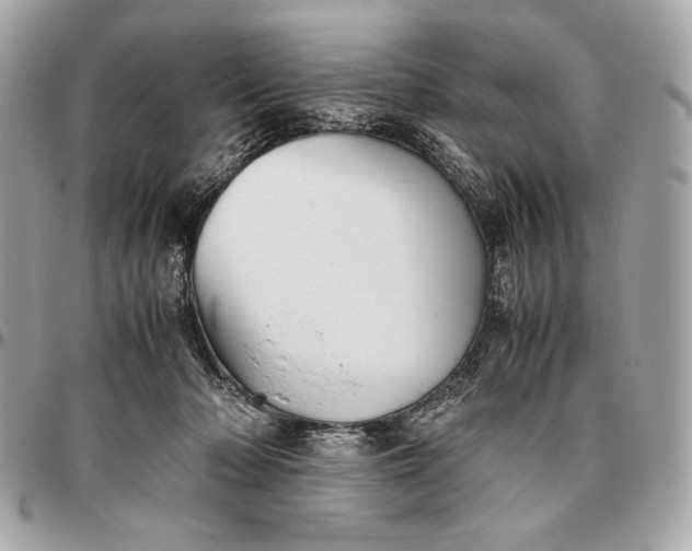 X0000096460318200802071839