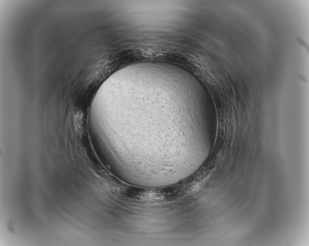 X0000096460319200802071839