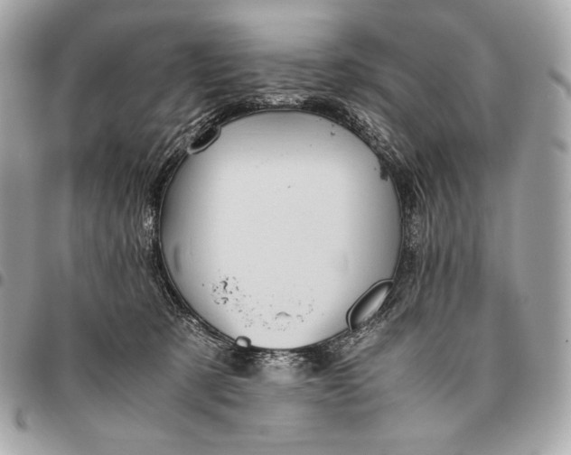 X0000096460321200802071839