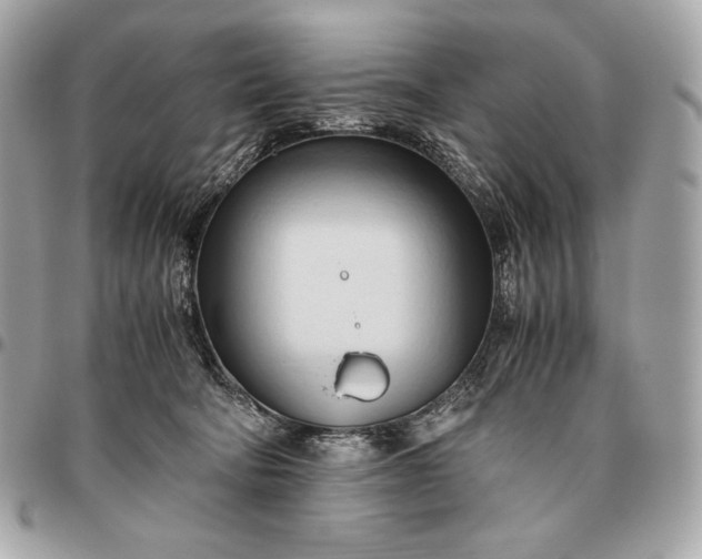 X0000096460322200802071839