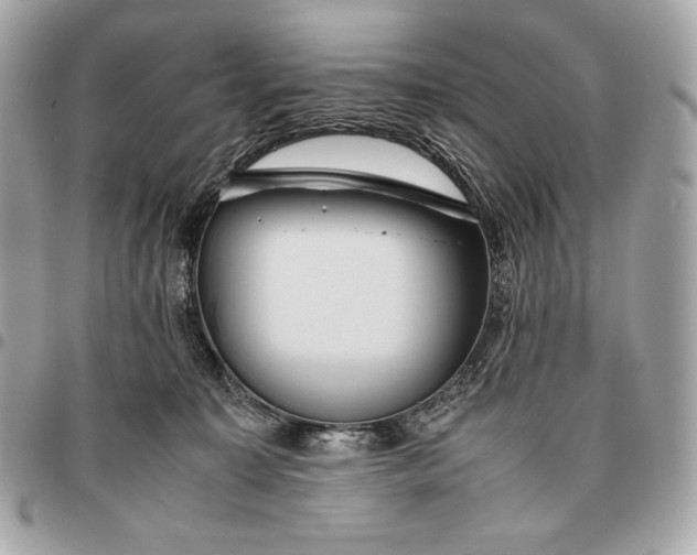 X0000096460323200802071839