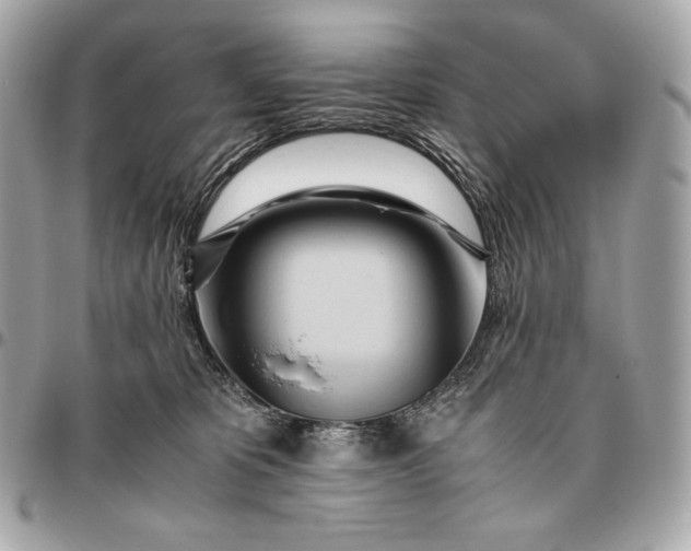 X0000096460325200802071839
