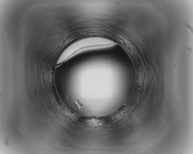 X0000096460326200802071839