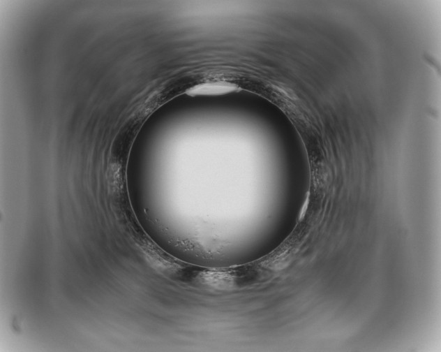X0000096460327200802071839