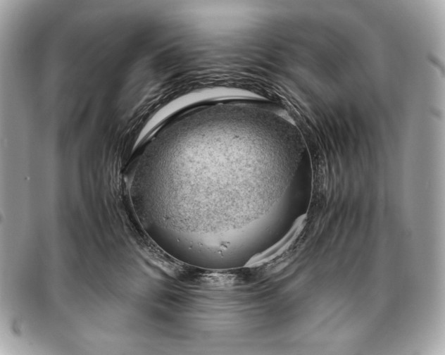X0000096460328200802071839