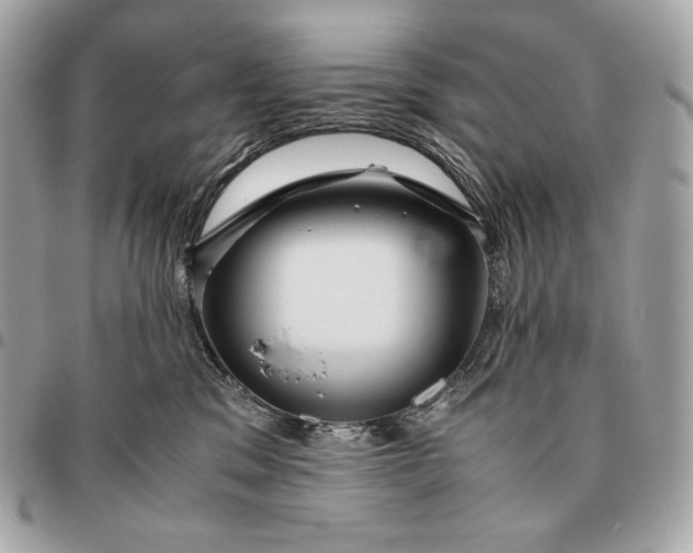 X0000096460329200802071839