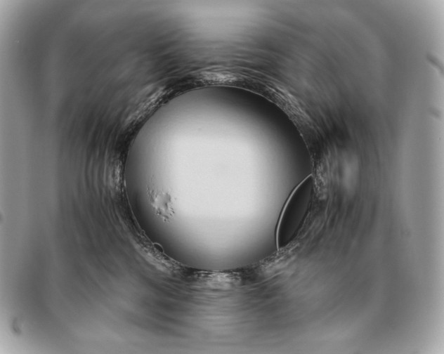 X0000096460330200802071839