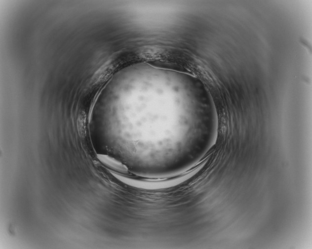 X0000096460332200802071839