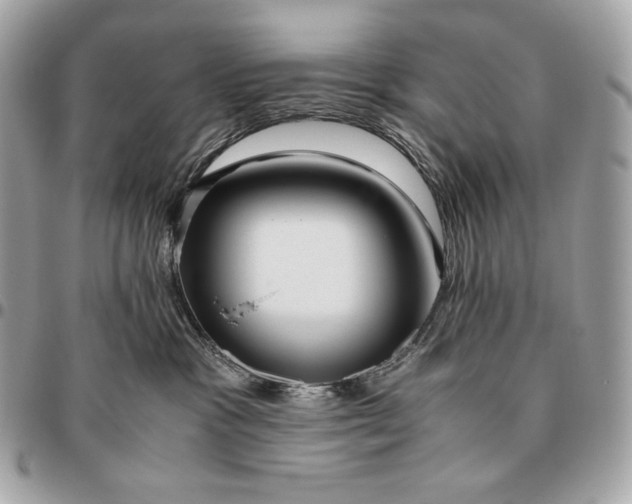 X0000096460333200802071839