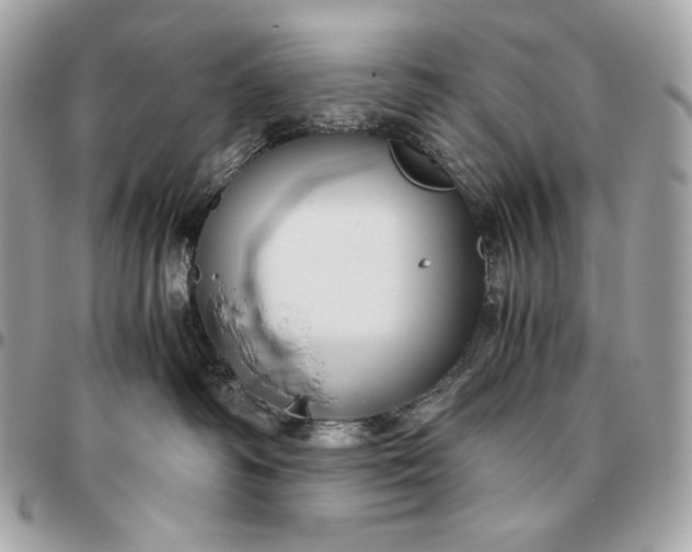 X0000096460334200802071839