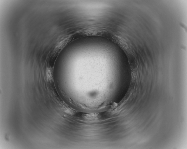 X0000096460335200802071839