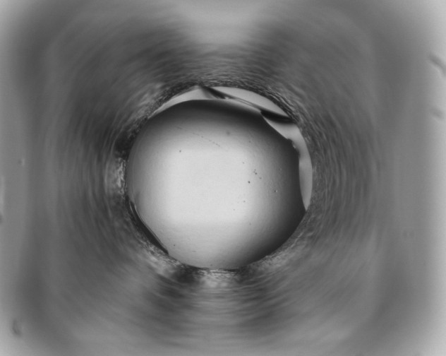 X0000096460336200802071839
