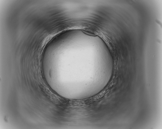 X0000096460337200802071838