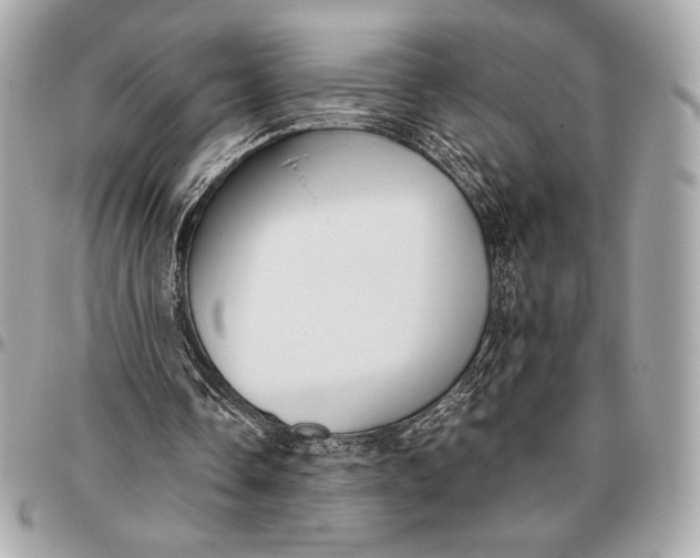 X0000096460338200802071839