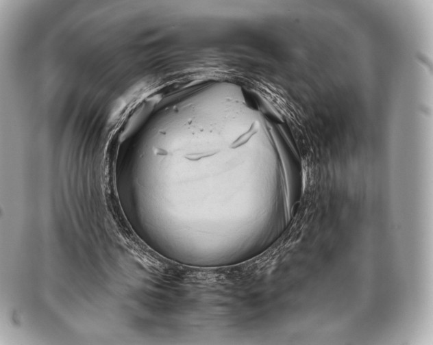 X0000096460339200802071839