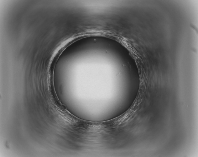 X0000096460342200802071839