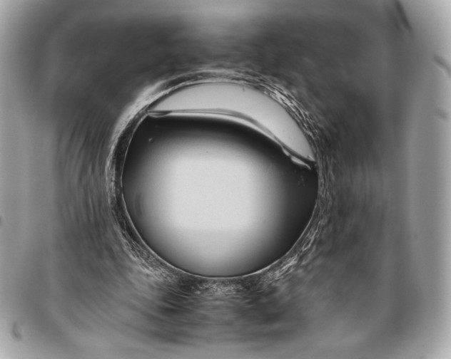 X0000096460343200802071839