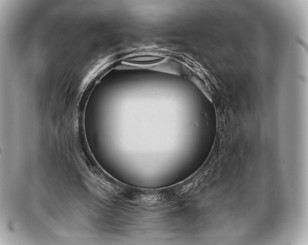 X0000096460344200802071839
