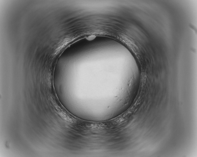 X0000096460345200802071839