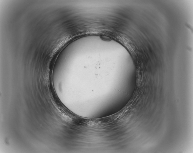 X0000096460346200802071839