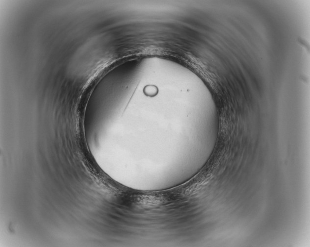 X0000096460347200802071839