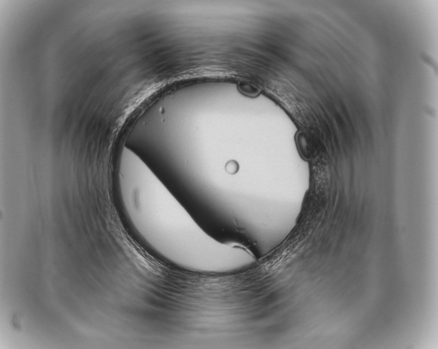 X0000096460350200802071839