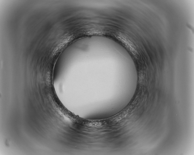 X0000096460353200802071839